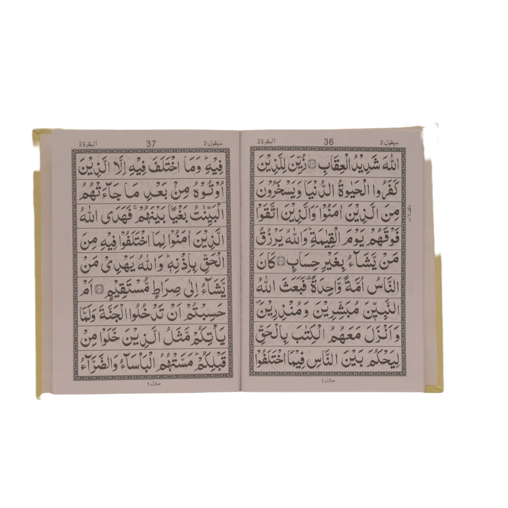 Quran Pak 9 Lines Para Set #100B Inside View Quran Pak 9 Lines Para Set #100B Inside View